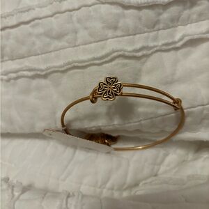 Alex & Ani bracelet